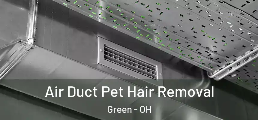  Air Duct Pet Hair Removal Green - OH