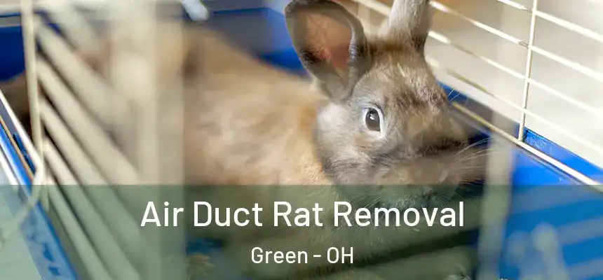  Air Duct Rat Removal Green - OH