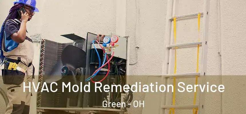 HVAC Mold Remediation Service Green - OH