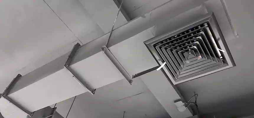 Our Pest Removal From Ducts Services in Green, OH