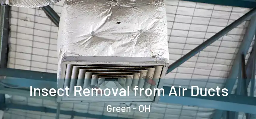 Insect Removal from Air Ducts Green - OH