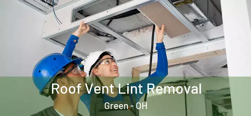 Roof Vent Lint Removal Green - OH
