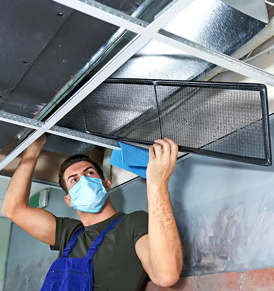 About Air Duct Bacteria Removal in Green