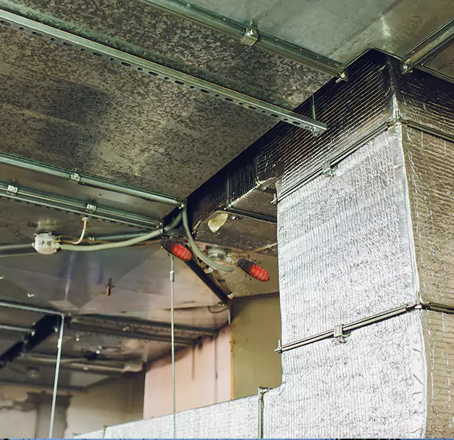 Why Homeowners & Businesses Trust Us in Green, OH?